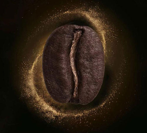 2 kg Café en grain - Espresso Riche - L'OR - 2
